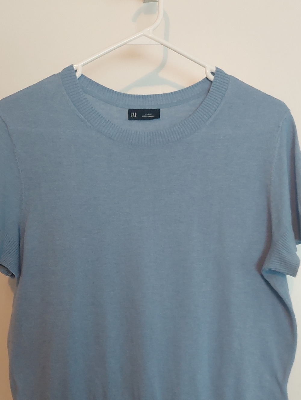 GAP Short Sleeve Crewneck Top in Light Blue